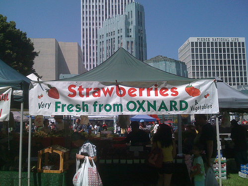 Fruit Stand at Wilshire Center's 2009 Earth Day Event