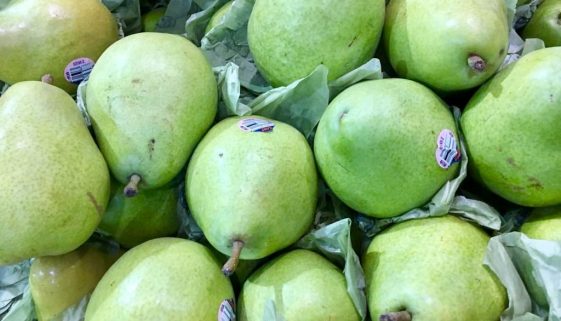 D'anjou Pears