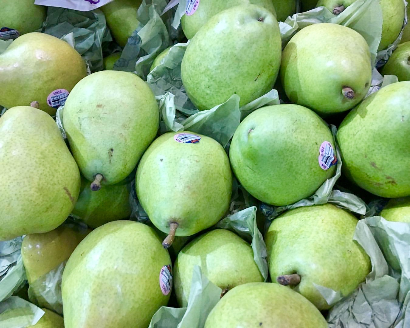 D'anjou Pears
