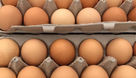 brown eggs in carton