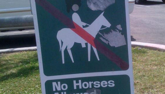 No Horses Allowed in the Streets of Los Angeles