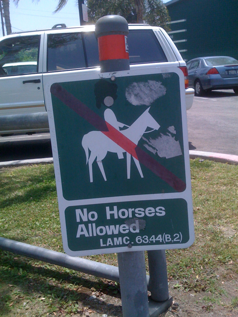 No Horses Allowed in the Streets of Los Angeles